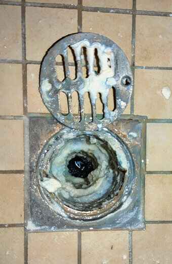 https://blockeddrainsgwelup.com.au/uploads/2025/07/blocked-shower-drains-86331.jpg