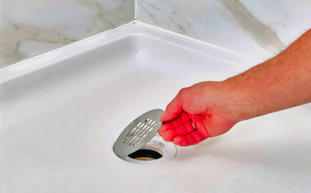 https://blockeddrainsgwelup.com.au/uploads/2025/07/blocked-shower-drains-90992.jpg