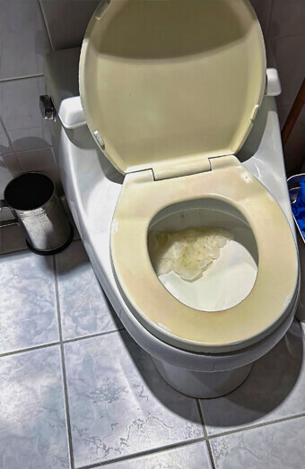 https://blockeddrainsgwelup.com.au/uploads/2025/07/blocked-toilet-27293.jpg