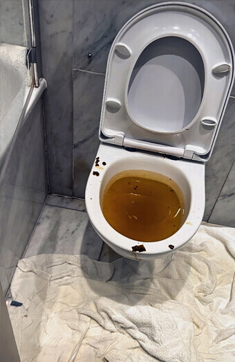 https://blockeddrainsgwelup.com.au/uploads/2025/07/blocked-toilet-27793.jpg