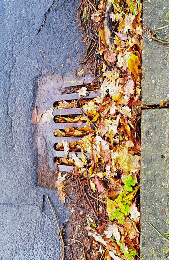 https://blockeddrainsgwelup.com.au/uploads/2025/07/stormwater-drains-48051.jpg
